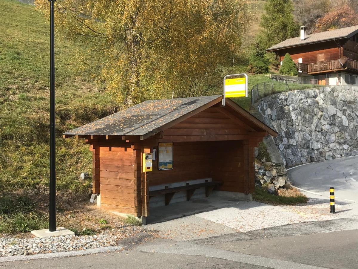 Chalet Le Fertin Ла-Тзума Экстерьер фото